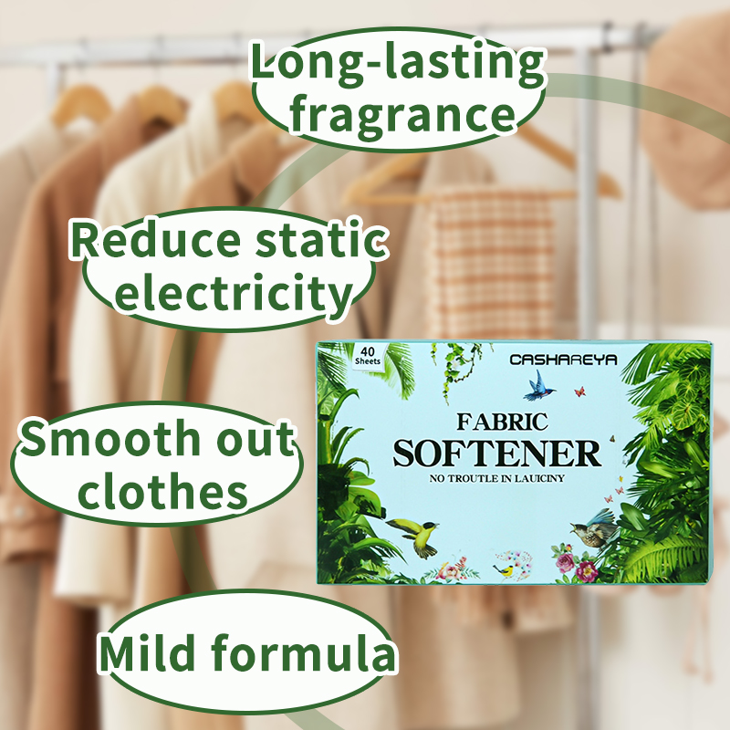 Long-Lasting Fresh Coconut Sce - Fabric Softener Sheet 리뷰 및 가격