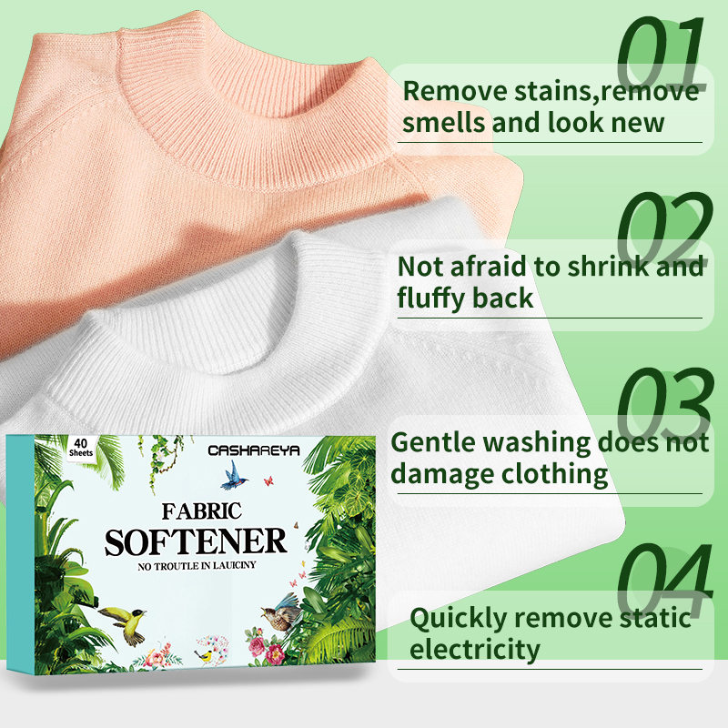 Long-Lasting Fresh Coconut Sce - Fabric Softener Sheet 리뷰 및 가격